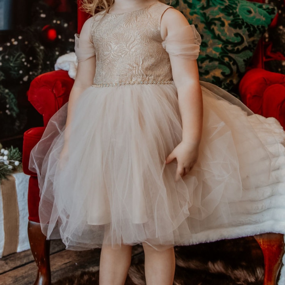 Little Girls Elegant Gold Tulle Dress